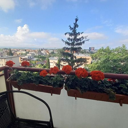 Apartman Lienka Free Parking City Centre Trenčín Exterior foto