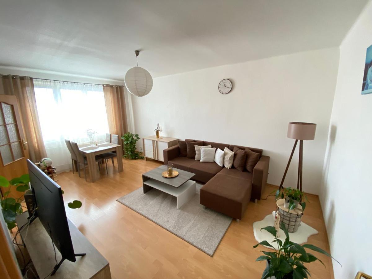 Apartman Lienka Free Parking City Centre Trenčín Exterior foto